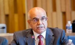 الحسناوي: عناية الحجاج ليست مسؤولية وطنية وطبية فقط وإنما شرعية